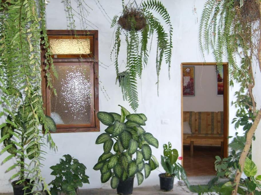 Preciosa Casa Emblematatica, Piscina,Wifi Villa Santa Catalina Ngoại thất bức ảnh