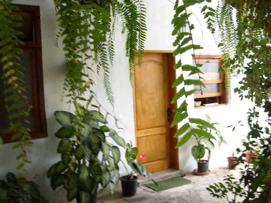 Preciosa Casa Emblematatica, Piscina,Wifi Villa Santa Catalina Ngoại thất bức ảnh